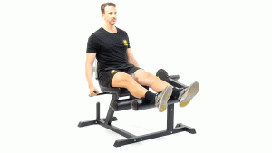 BANCO FORCE-PIERNAS-ISQUIOSURAL SENTADO BILATERAL
