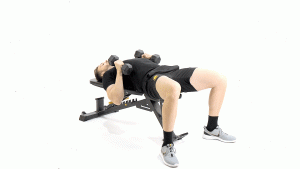 BANCO-MANCUERNAS-PECTORAL-PRESS PLANO CERRADO