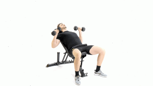 BANCO-PECTORAL-PRESS SUPERIOR ABIERTO