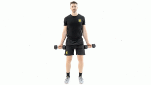 DE PIE-MANCUERNAS-BICEPS-CURL SUPINO