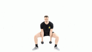 DE PIE-MANCUERNAS-BICEPS-PIERNAS-SENTADILLA DE SUMO Y CURL NEUTRO
