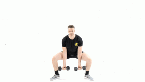 DE PIE-MANCUERNAS-BICEPS-PIERNAS-SENTADILLA DE SUMO Y CURL SUPINO