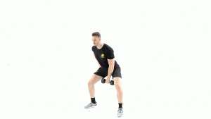 DE PIE-MANCUERNAS-HOMBRO-PIERNA-CADERAZO CON ELEVACION FRONTAL UNILATERAL