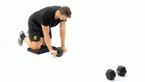 RUEDA ABDOMINAL-ABDOMEN-RODAR CON RODILLAS APOYADAS